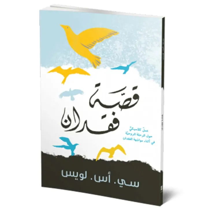 قصة فقدان